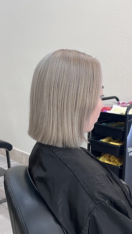 Main photo of Art Hair Design Tampa 艺发廊