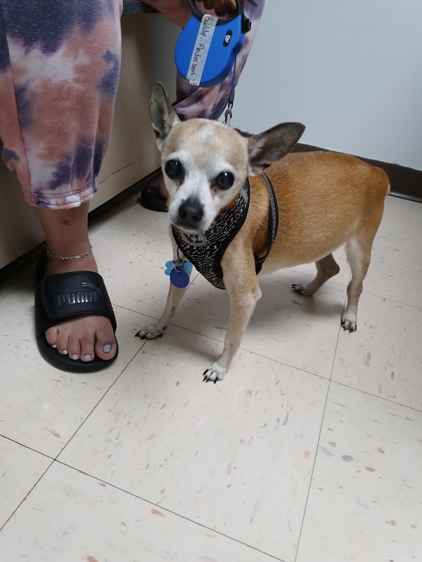 Photo 2 of Barsch Animal Clinic