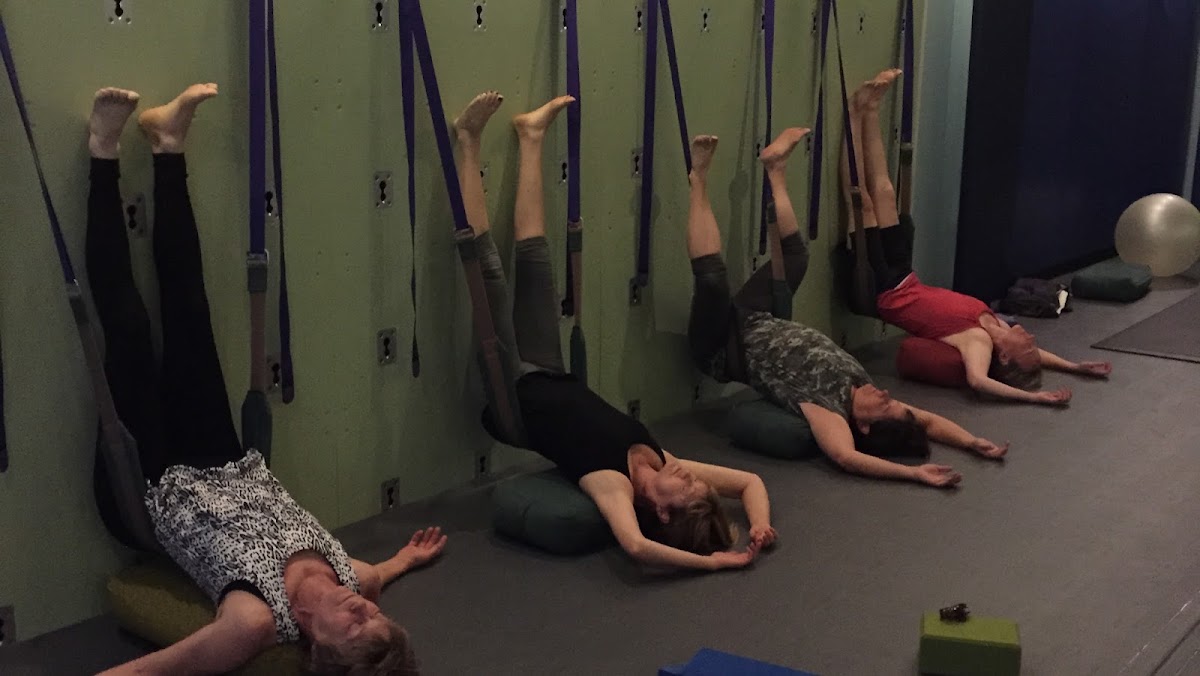 Main photo of Palm Yoga