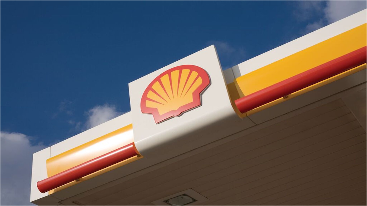 Main photo of Shell