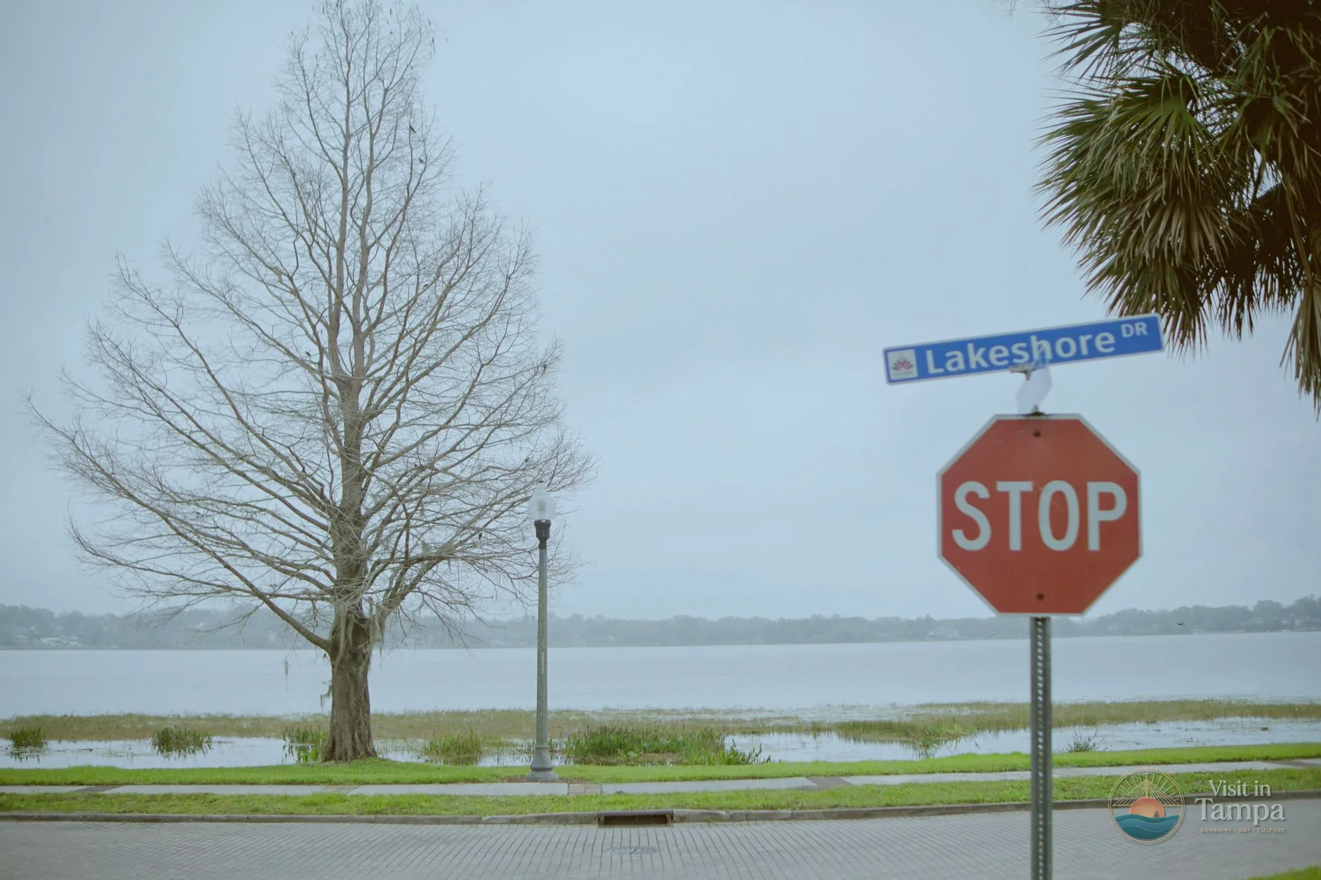 Road sign for Lutz Lake Fern Road exit off the Veteran's Expressway near Tampa